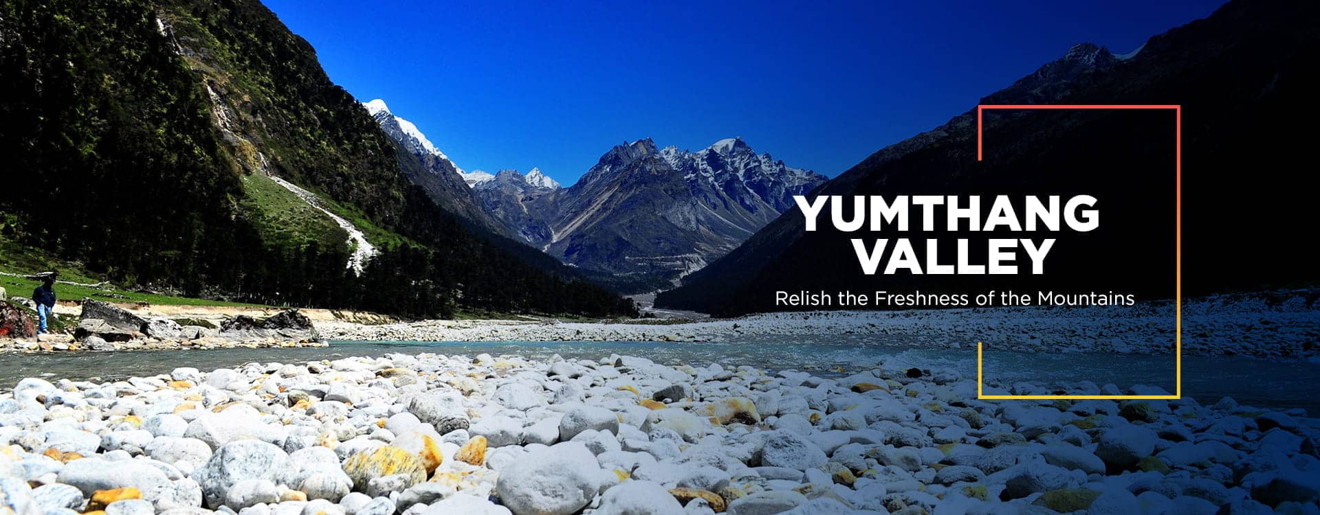 Yumthang Valley
