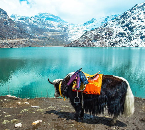 Sikkim